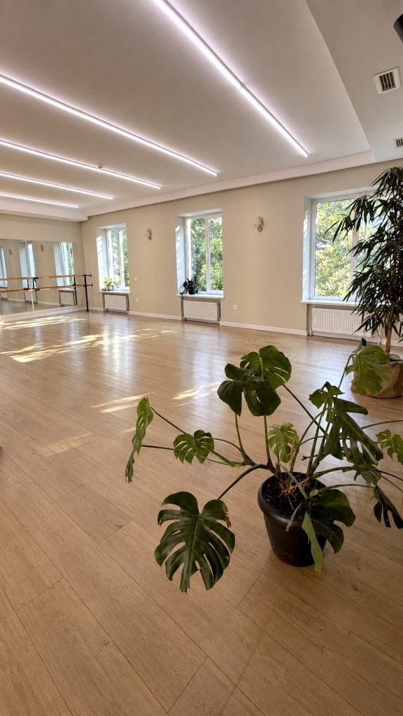 Suli studio